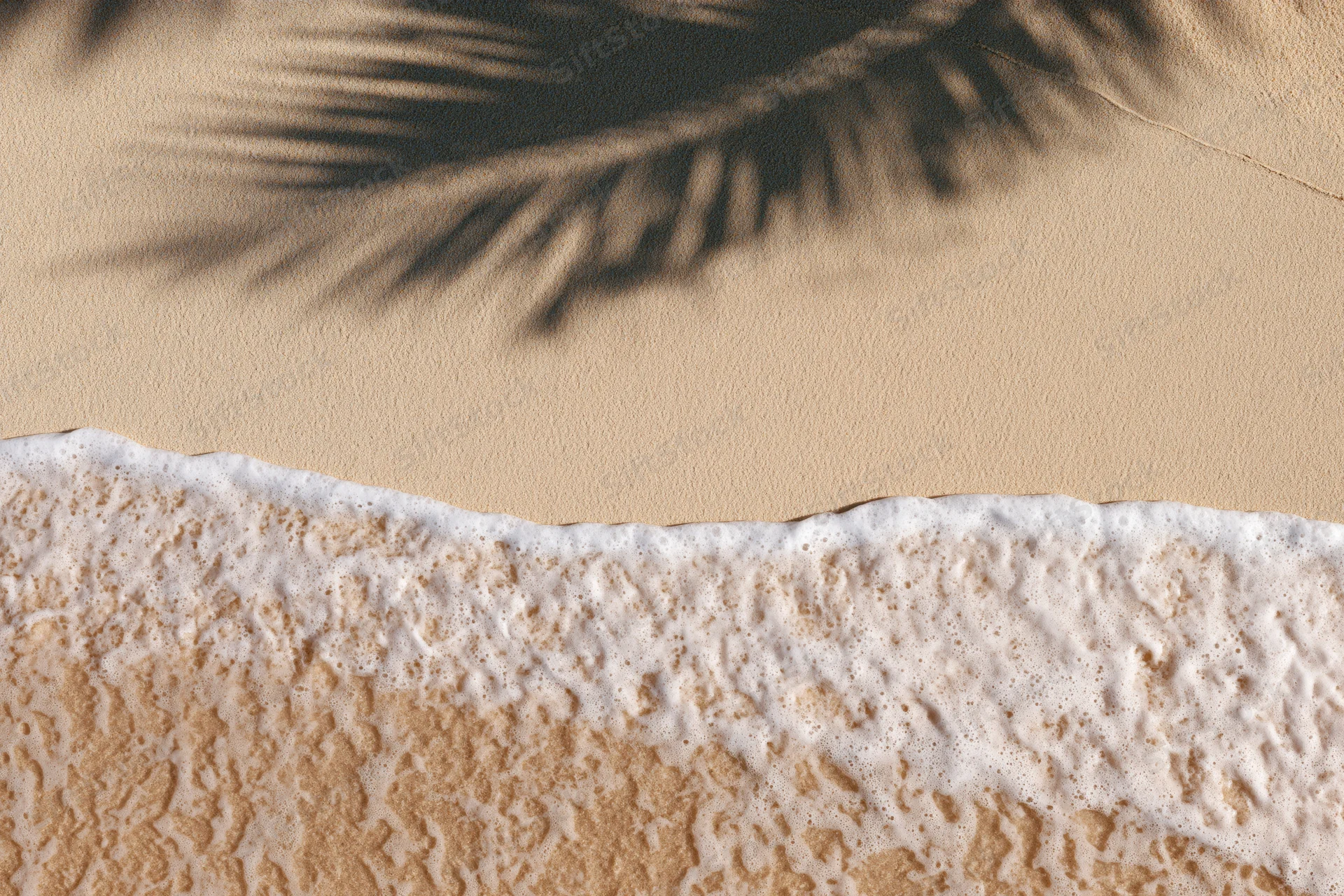 Aerial top-down view of sandy beach shoreline with gentle wave foam and palm shadow