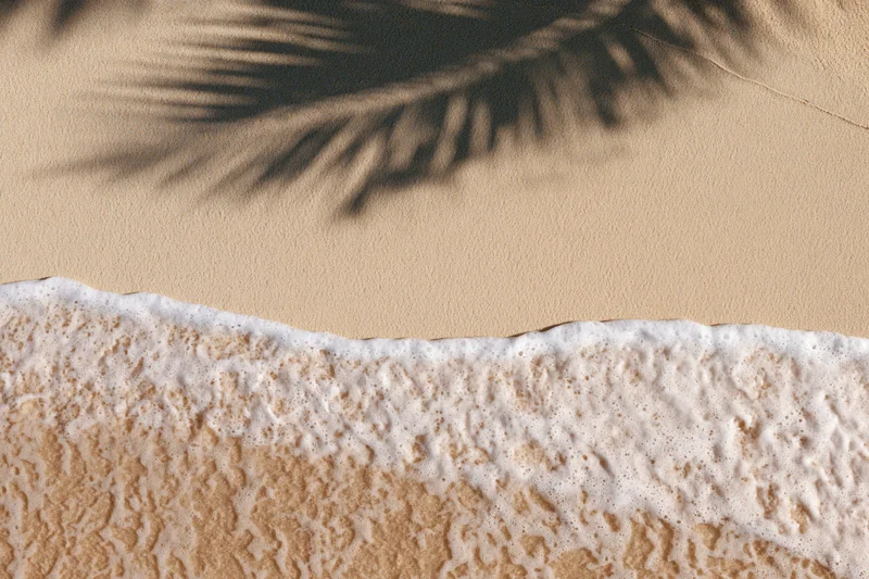 Aerial top-down view of sandy beach shoreline with gentle wave foam and palm shadow