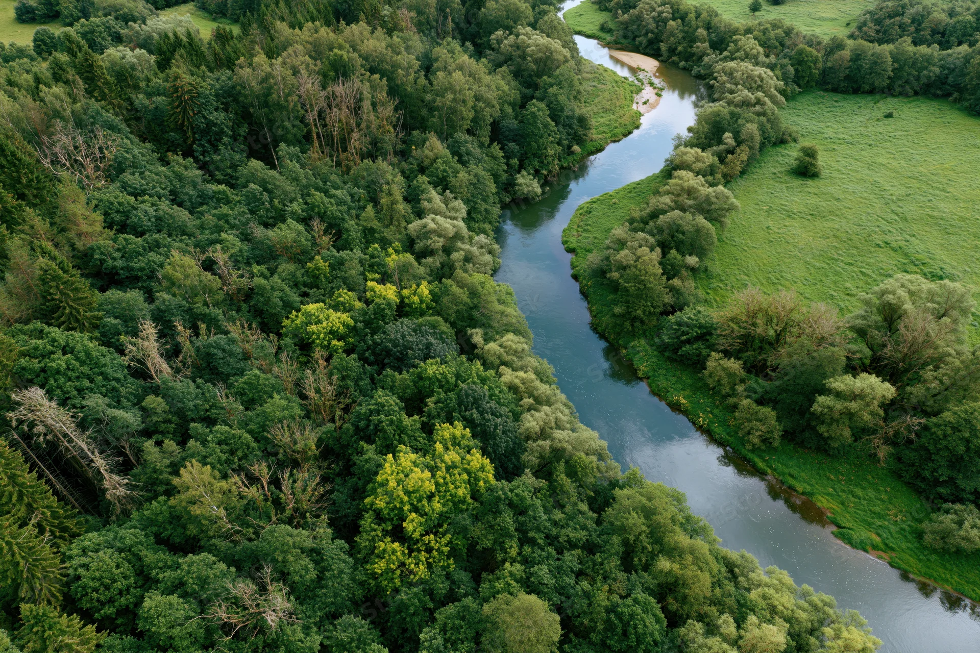 Winding river flowing through dense forest and green meadows from aerial view