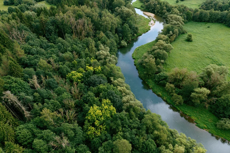 Winding river flowing through dense forest and green meadows from aerial view