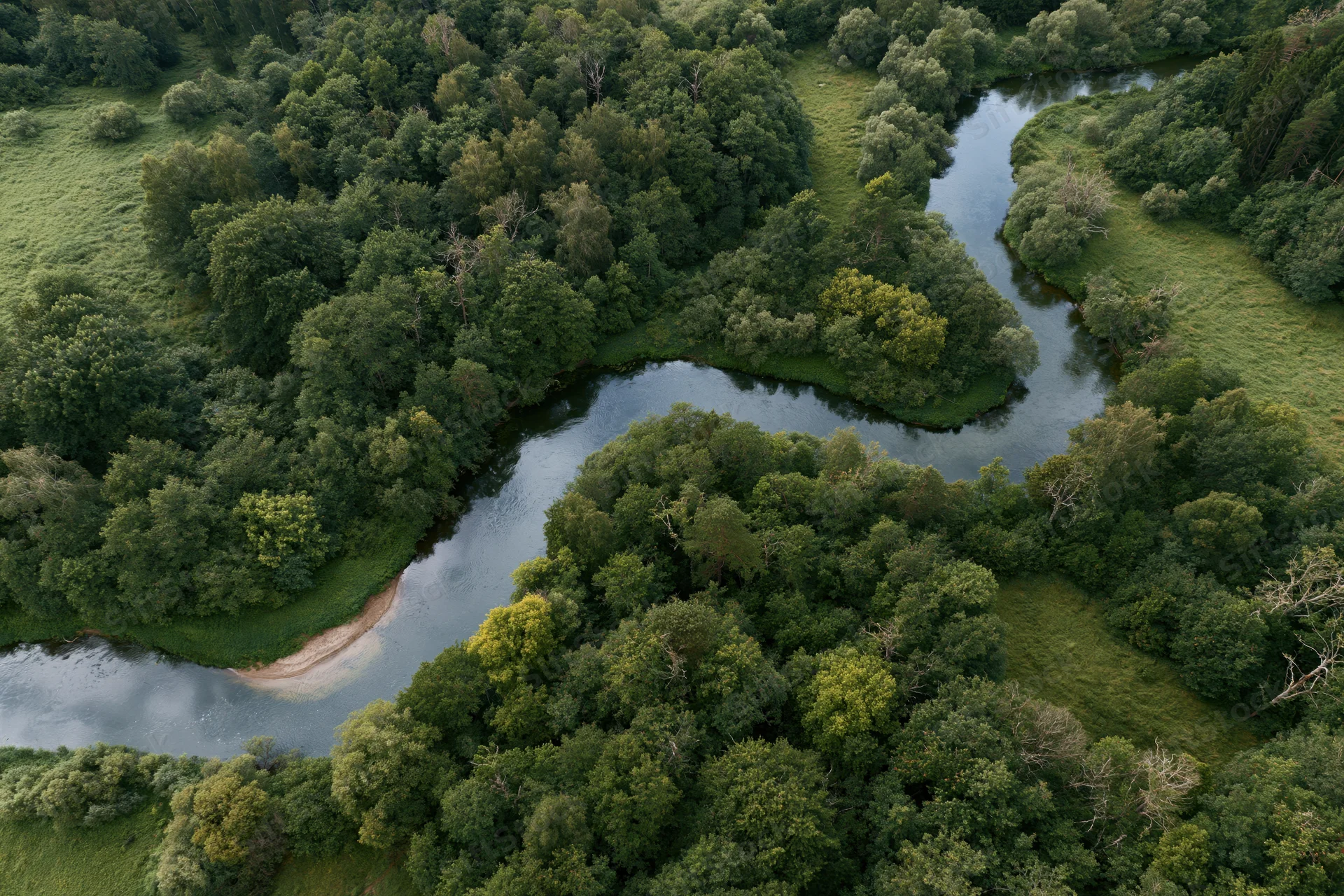 Winding river flowing through dense forest from aerial view