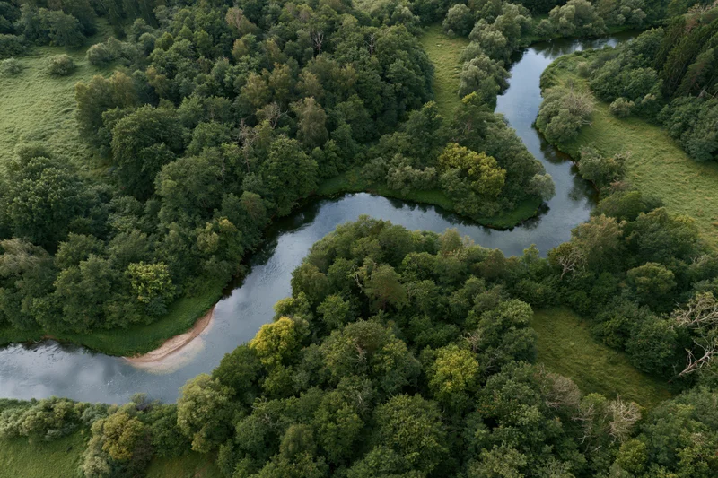 Winding river flowing through dense forest from aerial view