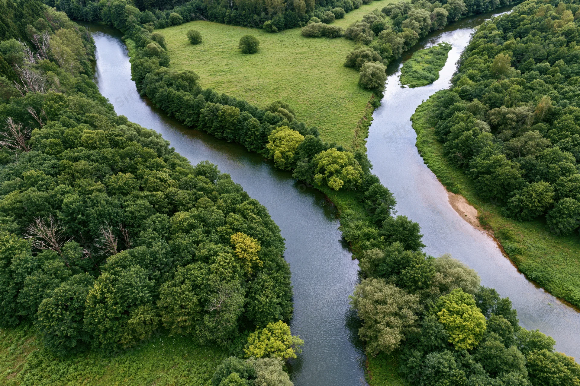 Aerial view of a winding river flowing through dense forest and green meadows