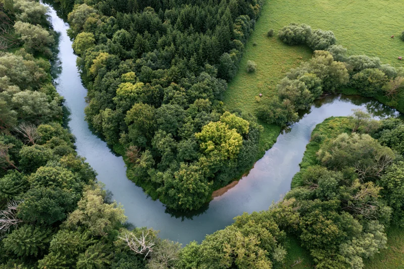 Aerial view of a winding river flowing through dense forest and green fields