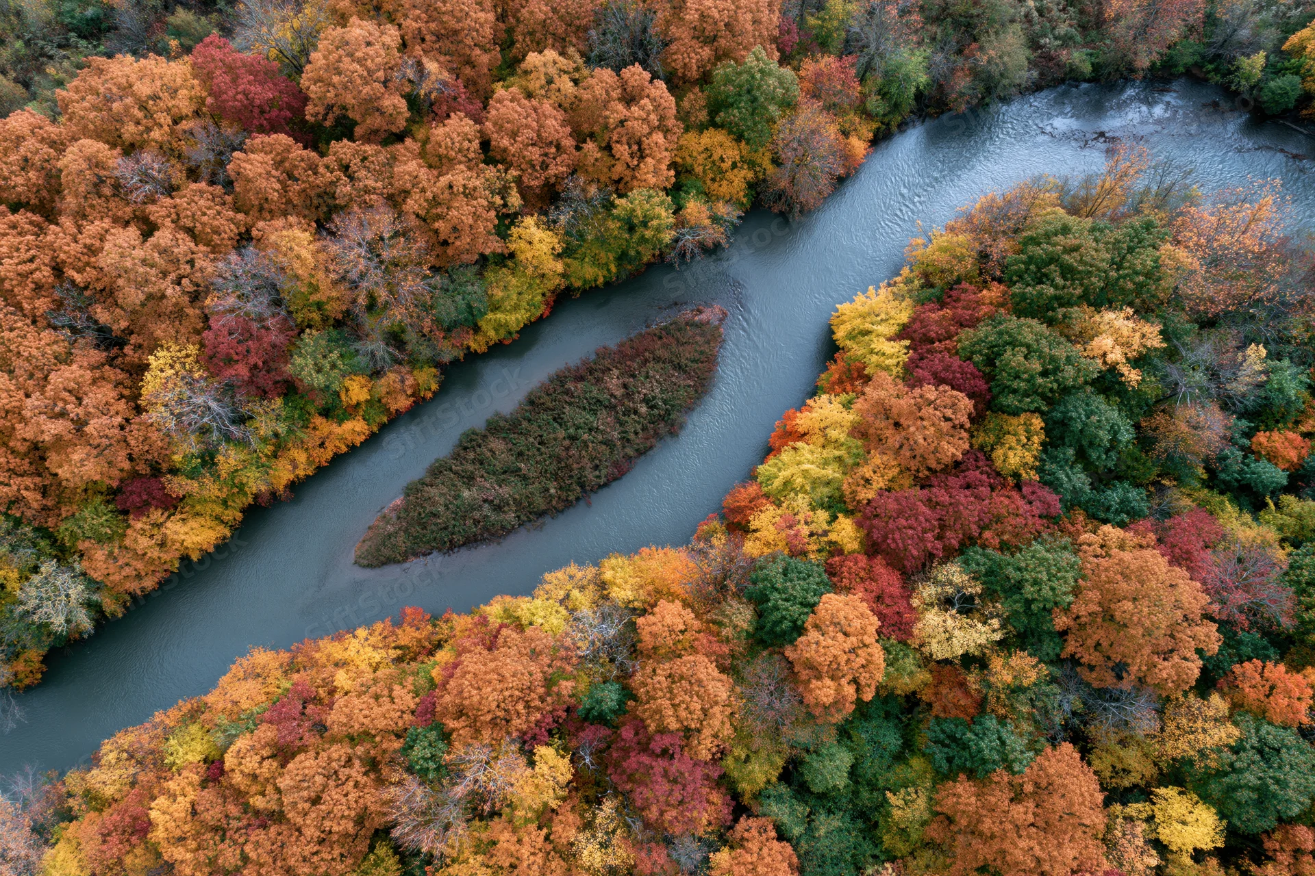 Aerial top-down view of a winding river splitting around a small island surrounded by autumn forest with colorful foliage