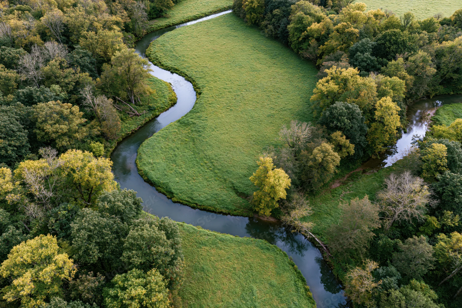 Aerial view of a winding river meandering through green meadows and autumn-colored forest