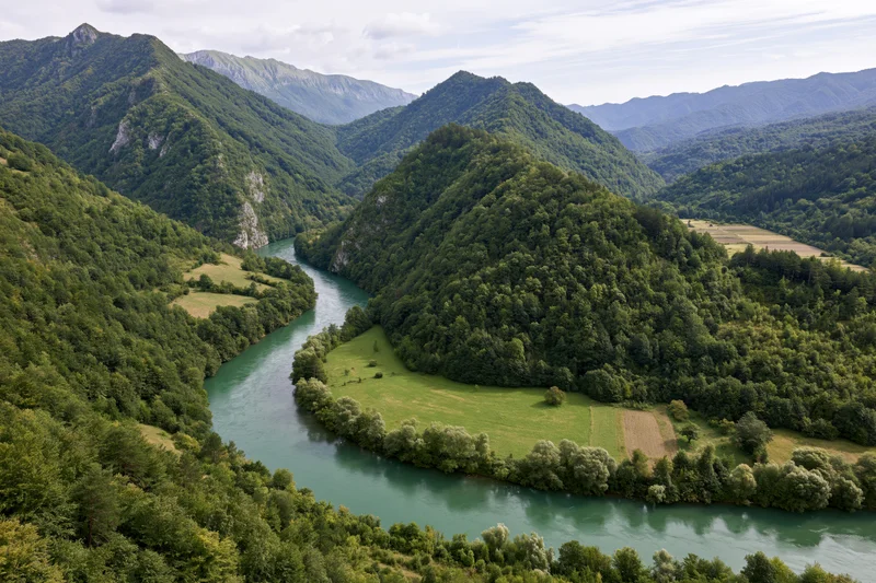 Winding river flowing through forested mountains and green valleys from aerial view