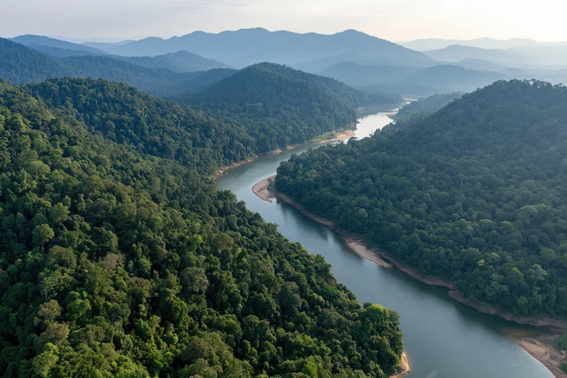 Winding river cutting through dense tropical forest with mountains in the background