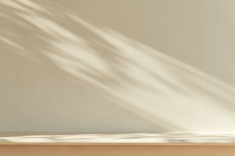 Cream-white plaster wall with soft sunlight casting diagonal shadows, interior space with copyspace along the bottom