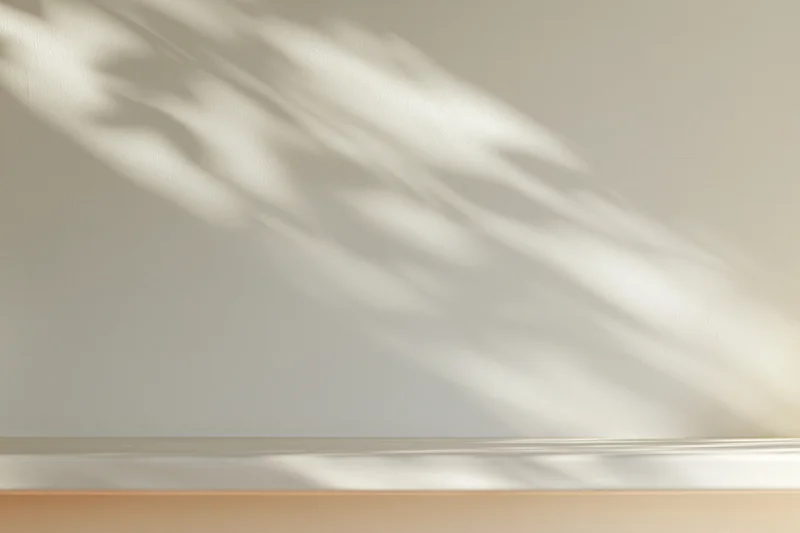 Dappled sunlight shadows from leaves on a smooth cream plaster wall in an empty room