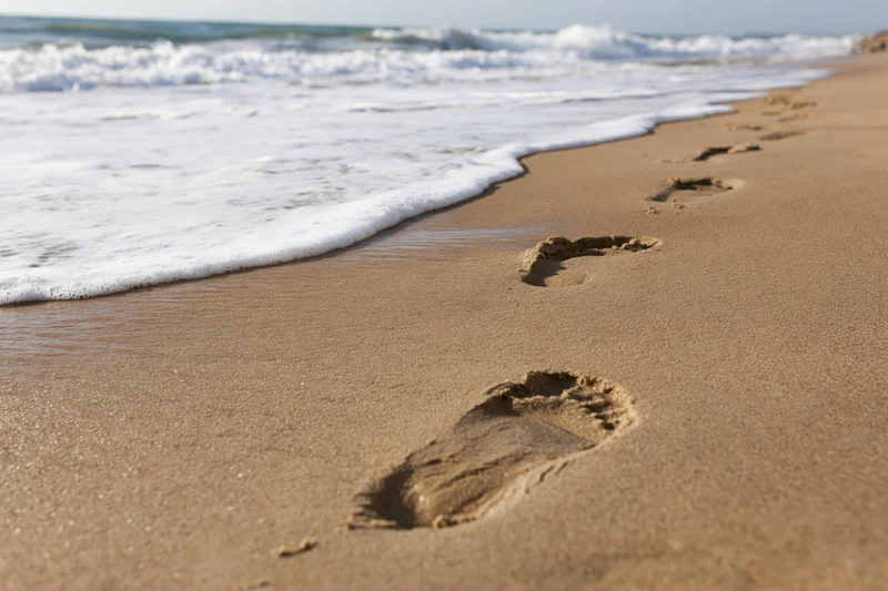 Footprints in wet golden sand leading toward ocean waves along shoreline