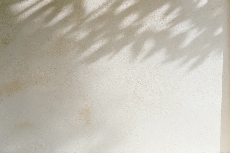 Bare plaster wall with dappled leaf shadows from sunlight
