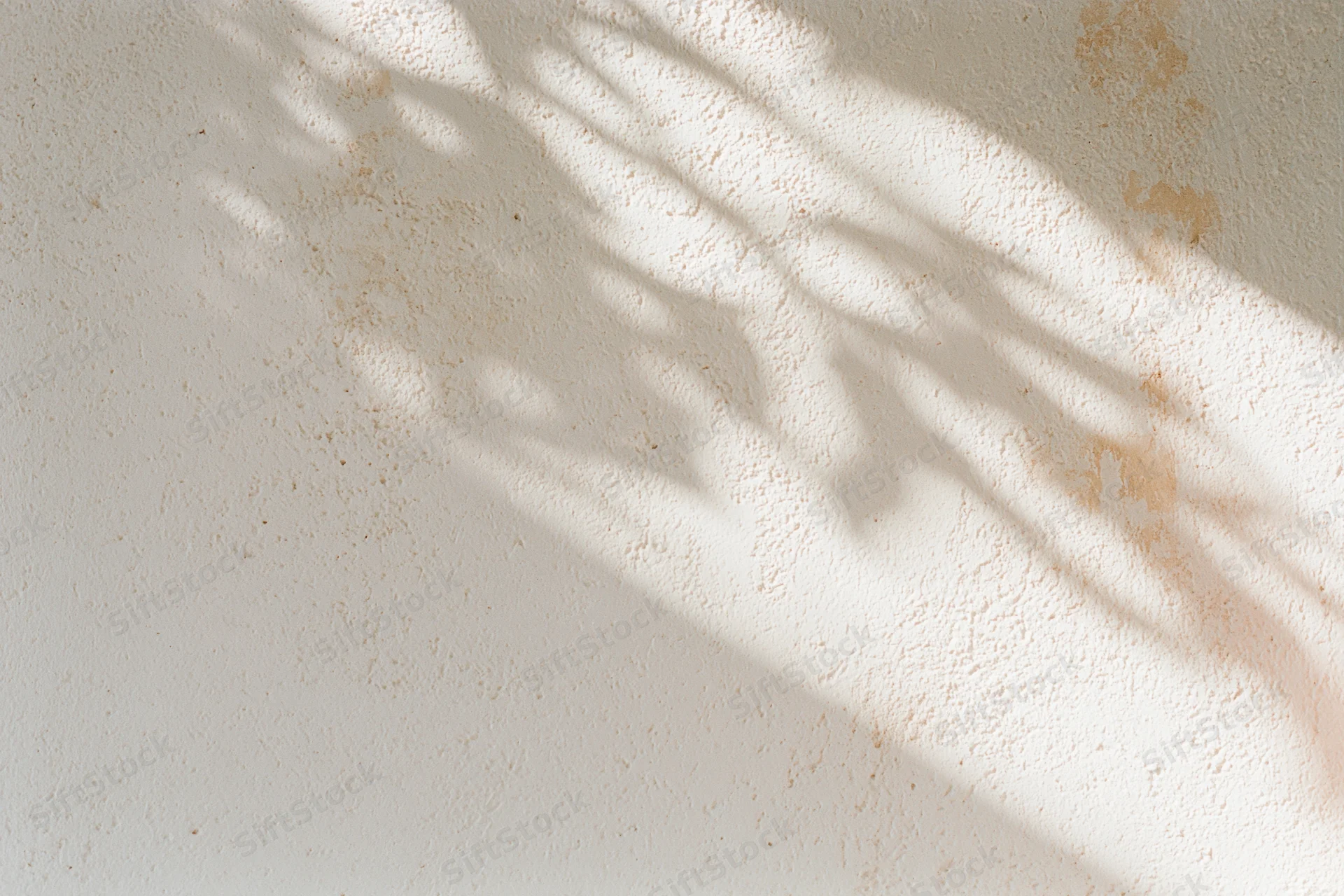 Bare plaster wall with leaf shadows and natural light filling the frame