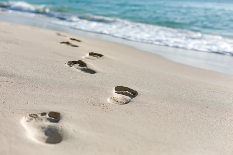 Footprints trailing diagonally across pale wet sand near the ocean shoreline