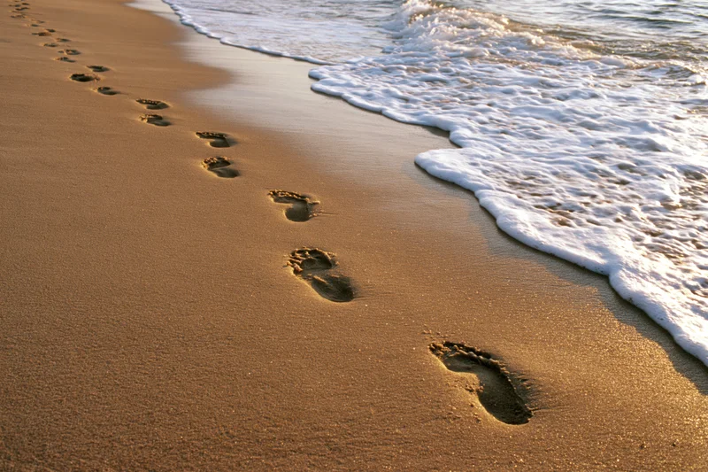 Footprints trailing diagonally across wet golden sand at the ocean shoreline