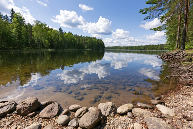 Calm inland lake with rocky shoreline and forest reflection under bright blue sky