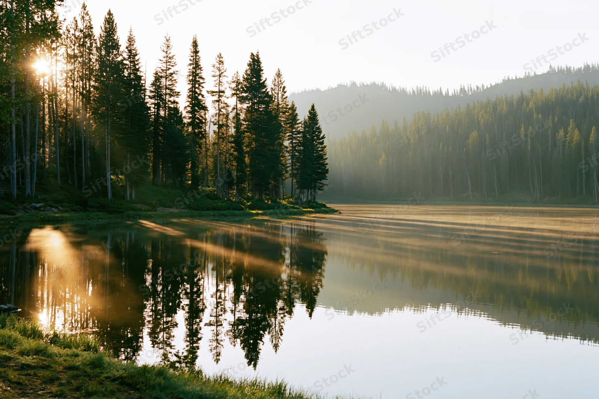 Calm lake reflecting tall pine trees along a grassy shoreline at sunrise