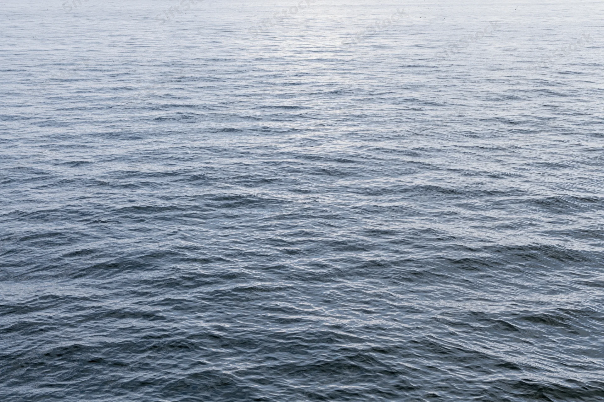 Calm ocean surface with gentle ripples under soft daylight