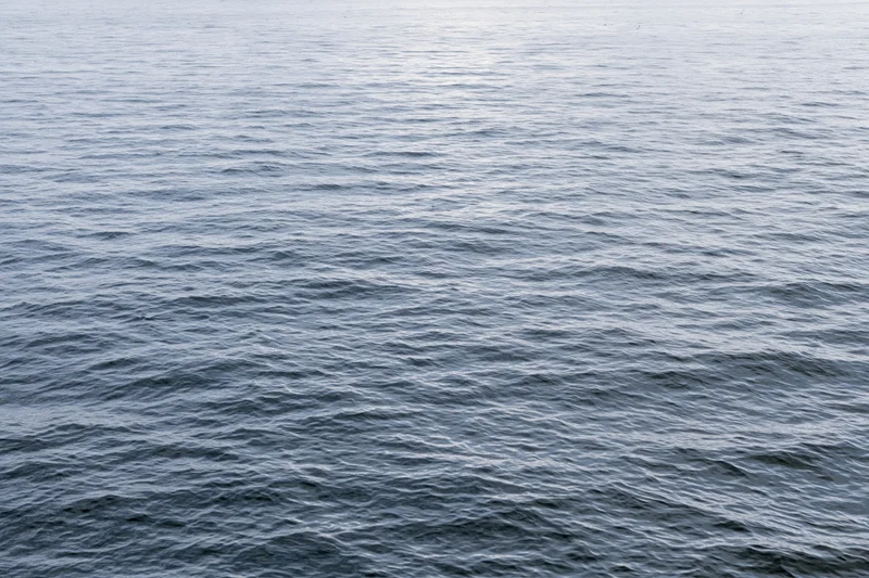 Calm ocean surface with gentle ripples under soft daylight