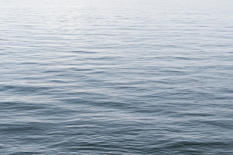 Calm ocean surface with gentle ripples under soft light