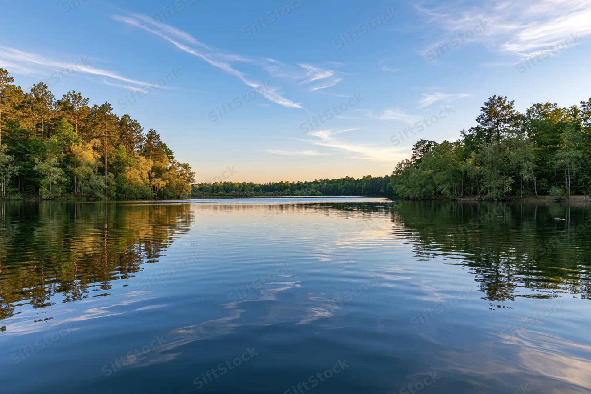 Calm river reflecting pine and willow trees at sunset