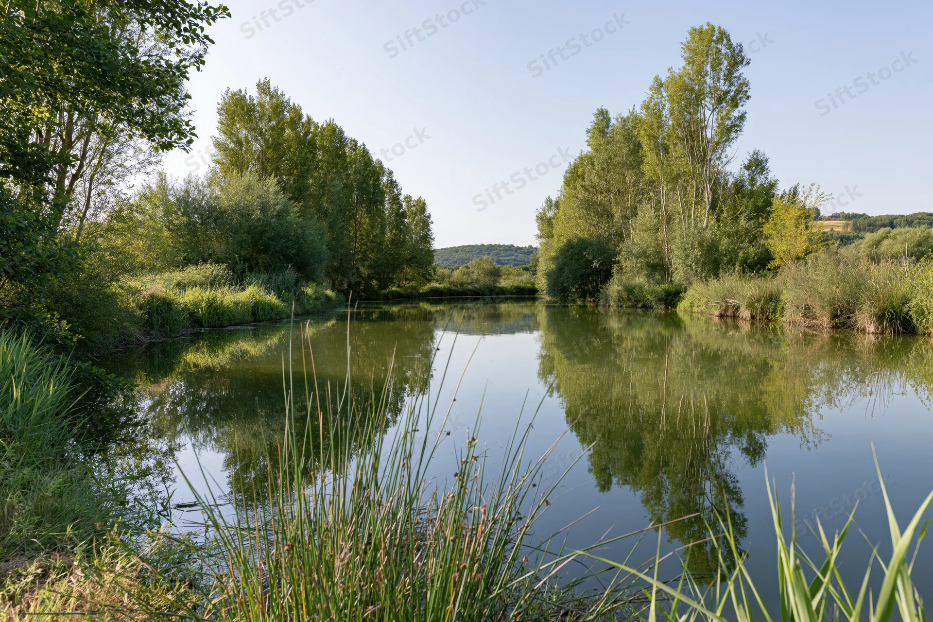 Calm river channel winding through a flat riparian landscape with trees and reeds reflecting in still water