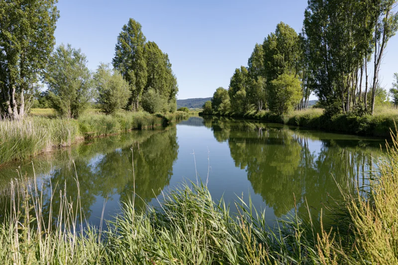 Calm river channel winding through a flat riparian landscape with trees and reeds reflecting in still water