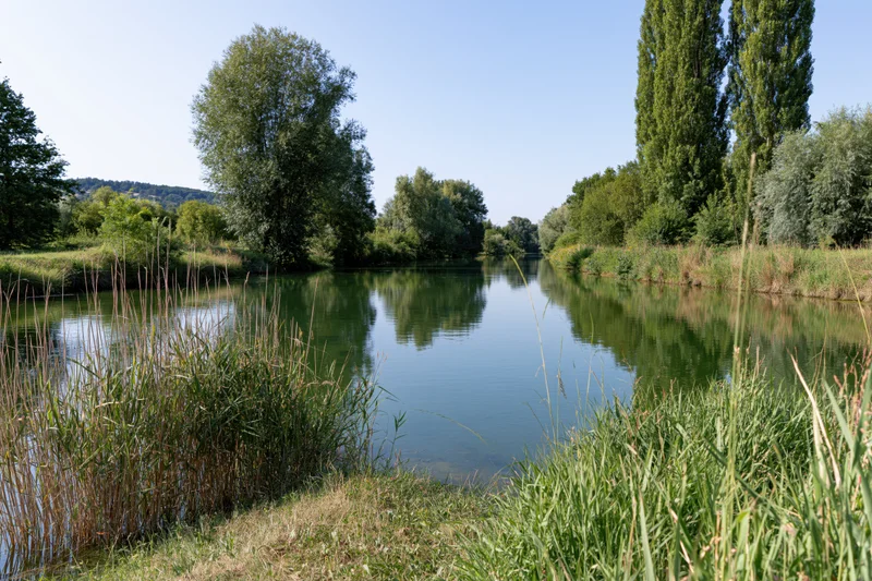 Calm river channel winding through a flat riparian landscape with trees and reeds reflecting in still water