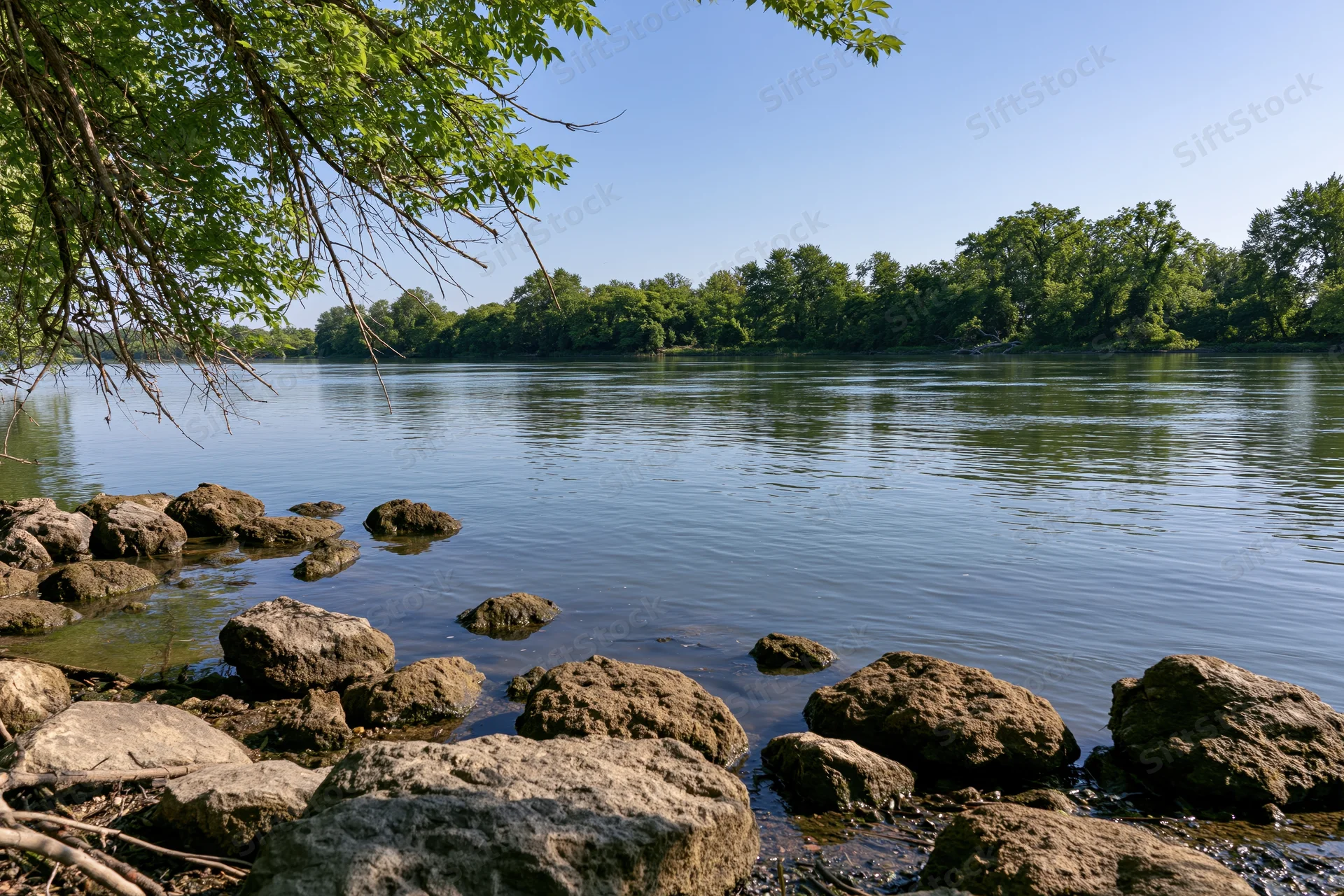 Calm river with scattered rocks along the shoreline framed by overhanging tree branches under a clear blue sky
