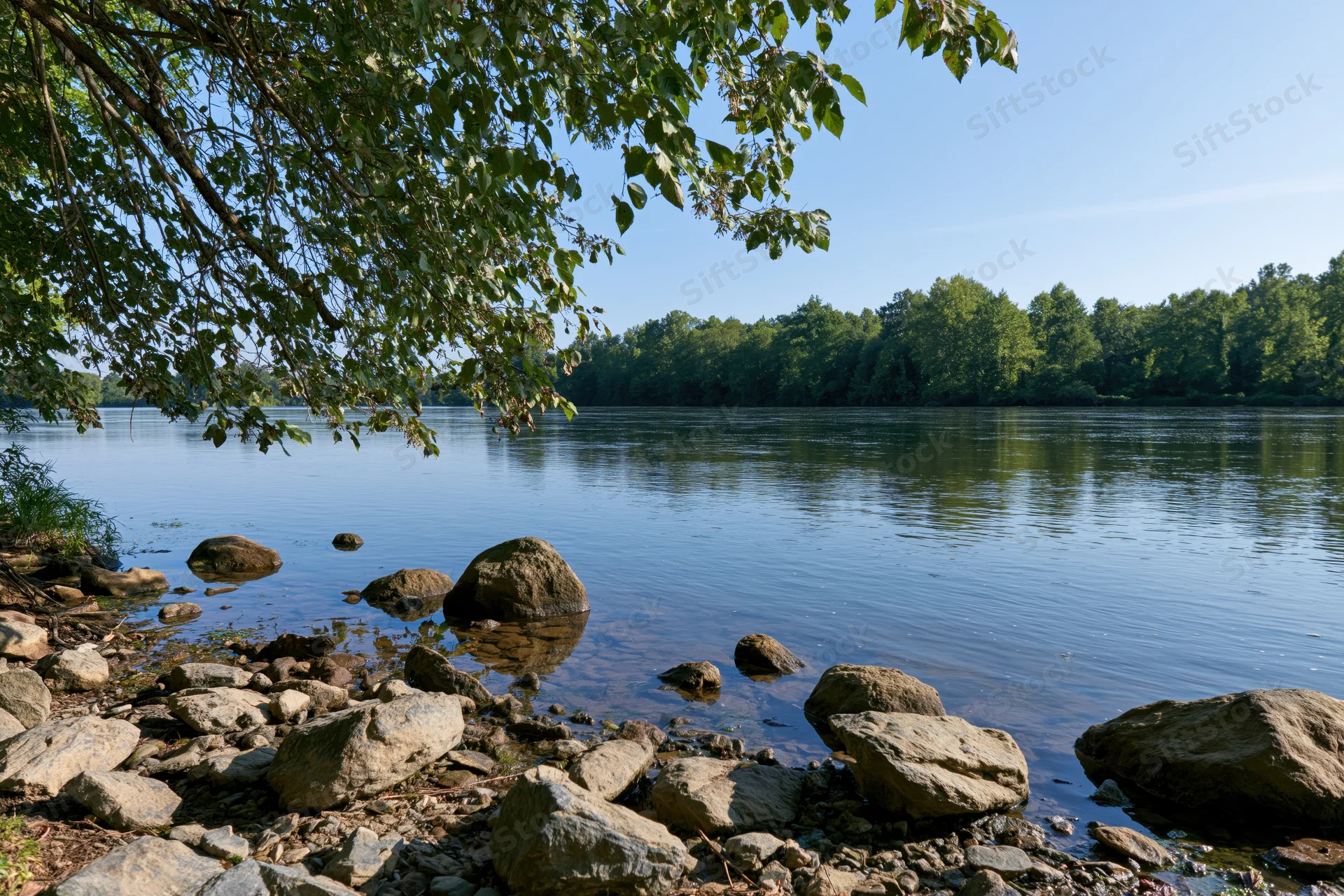 Calm river with scattered rocks along the shoreline framed by overhanging tree branches under clear blue sky