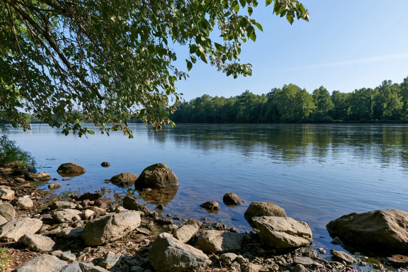 Calm river with scattered rocks along the shoreline framed by overhanging tree branches under clear blue sky