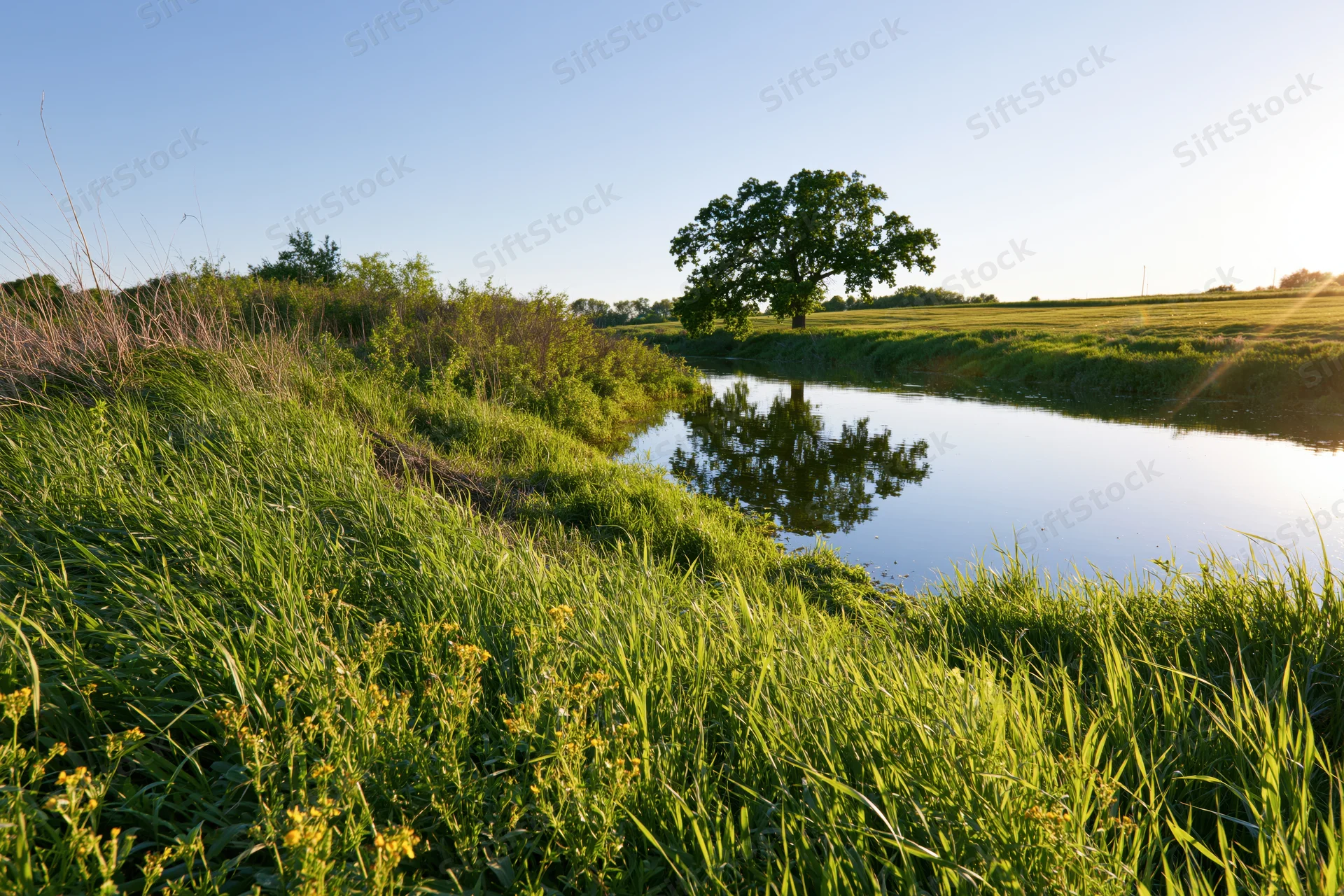 Calm river winding through lush green meadow under clear blue sky at sunrise
