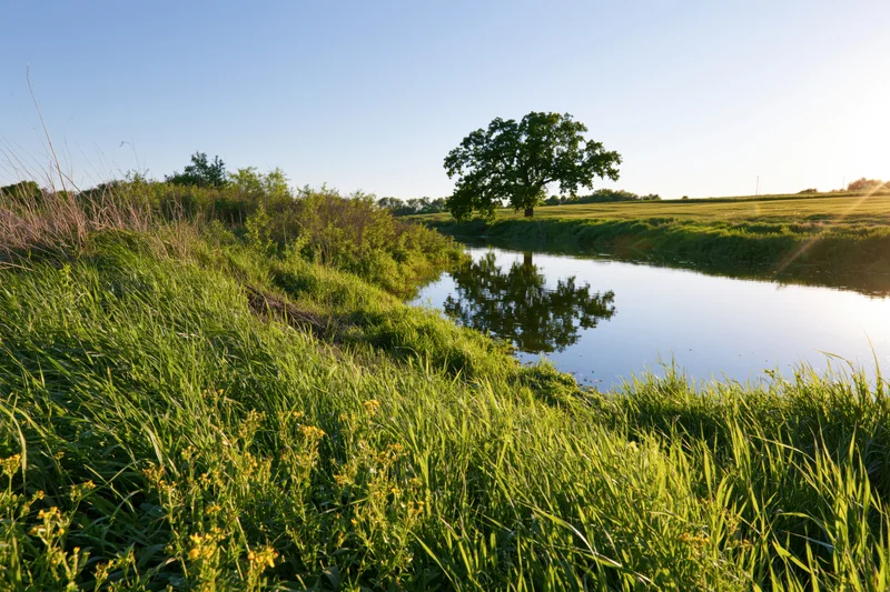 Calm river winding through lush green meadow under clear blue sky at sunrise