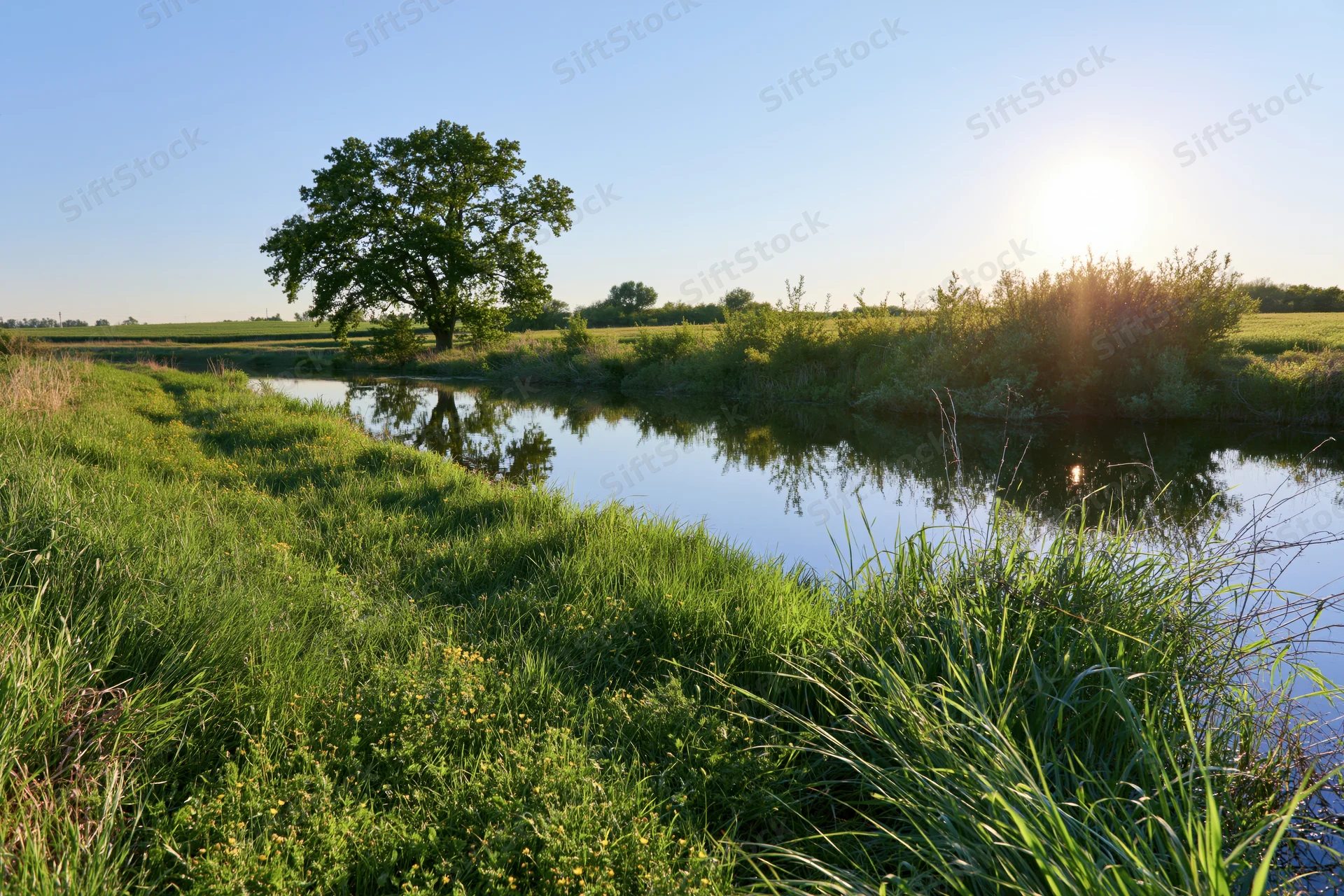 Calm rural river winding through lush green meadow under clear blue sky at sunrise