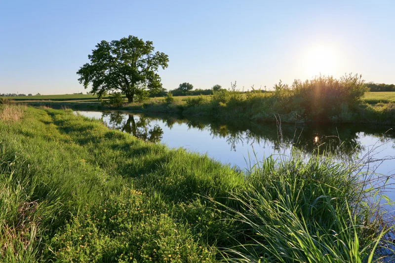Calm rural river winding through lush green meadow under clear blue sky at sunrise