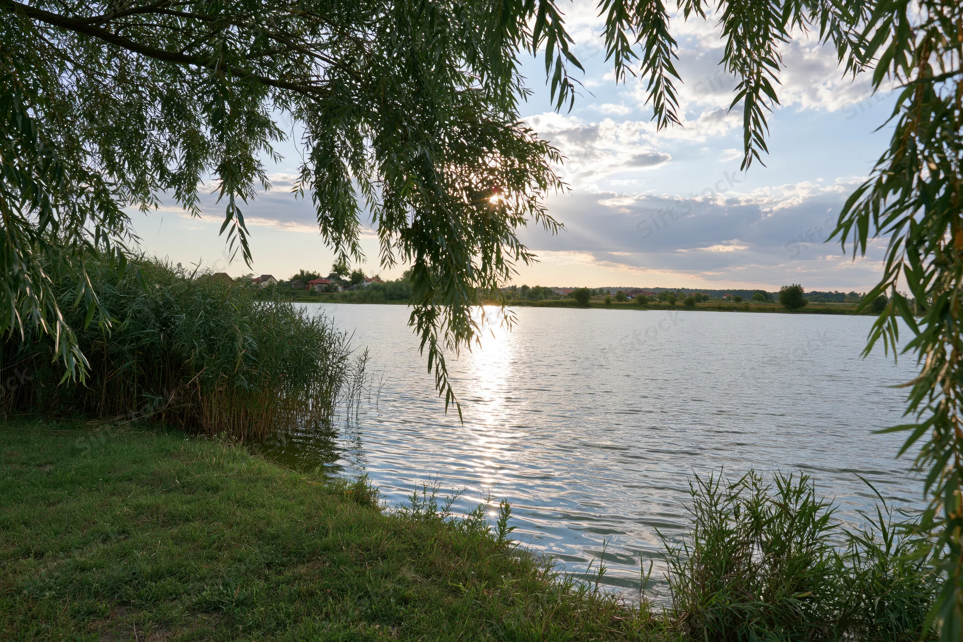 River reflecting sunset light through willow branches along grassy shore