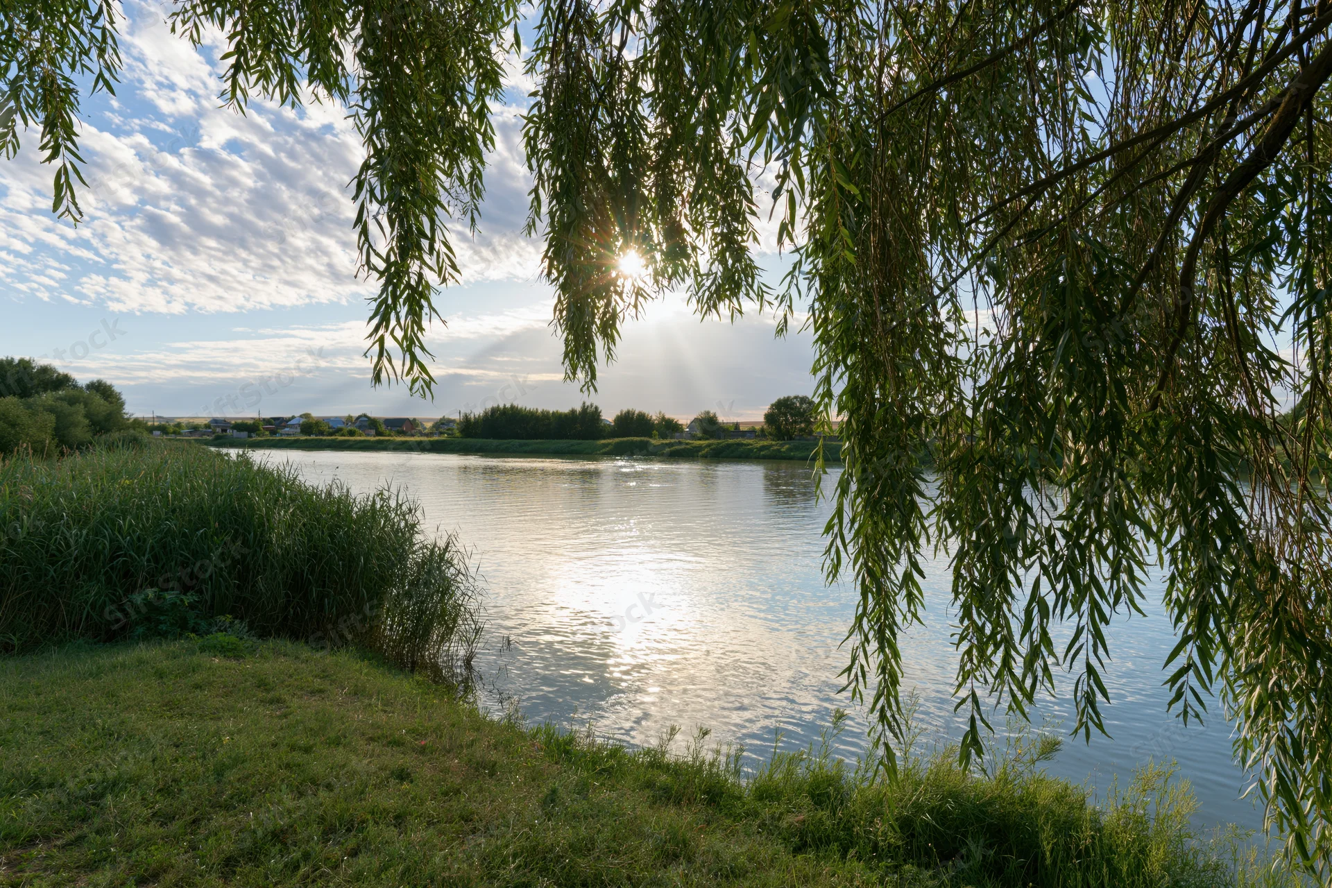 Calm river reflecting sunlight through willow branches in rural landscape