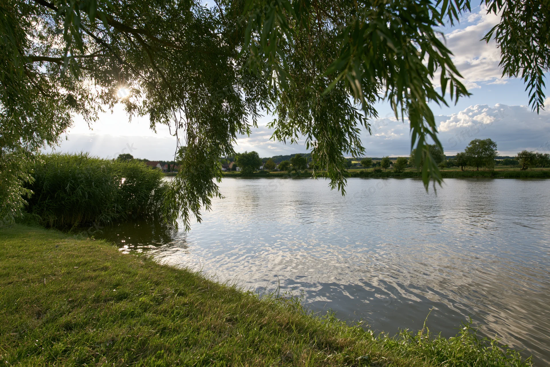 Calm river flowing through rural landscape with willow branches framing the view under sunny sky