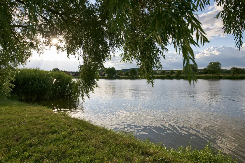 Calm river flowing through rural landscape with willow branches framing the view under sunny sky