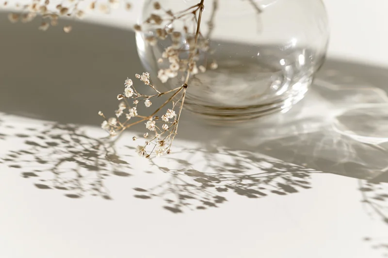 Dried baby's-breath flowers in a clear glass vase casting delicate shadows on a white surface
