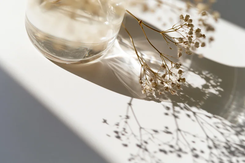 Clear glass vase with dried baby's breath casting delicate shadows on white surface in soft sunlight