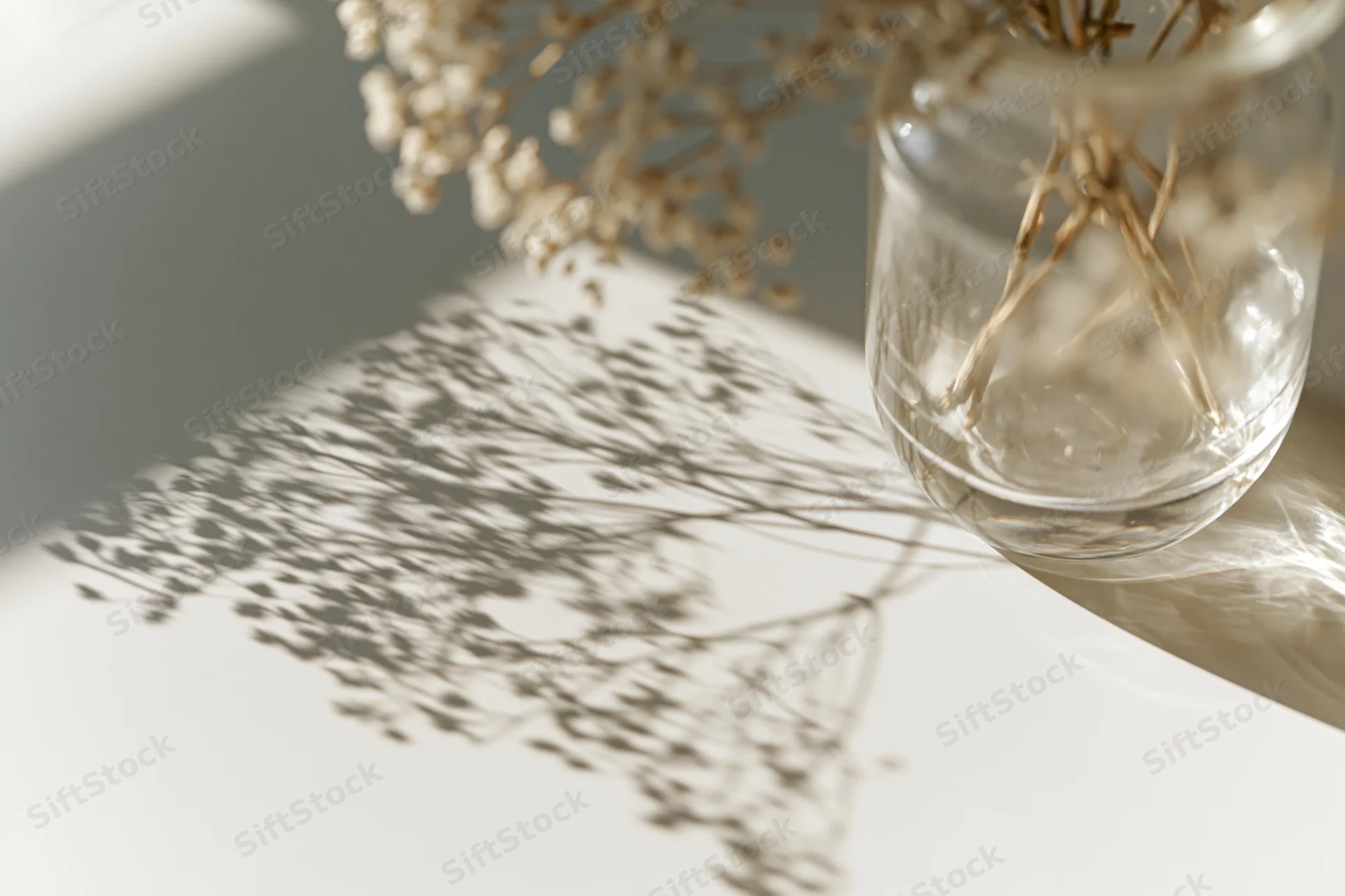 Dried babys breath in a clear glass vase casting delicate shadows on a white table in soft sunlight