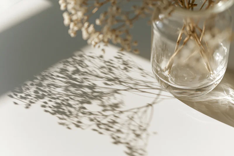 Dried babys breath in a clear glass vase casting delicate shadows on a white table in soft sunlight