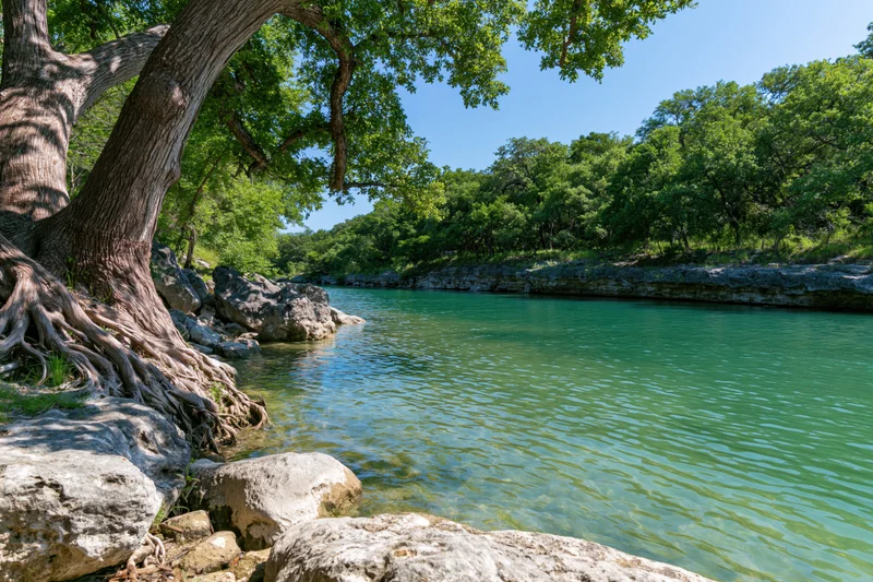 Turquoise river flowing through limestone banks with overhanging tree roots and green forest under clear blue sky