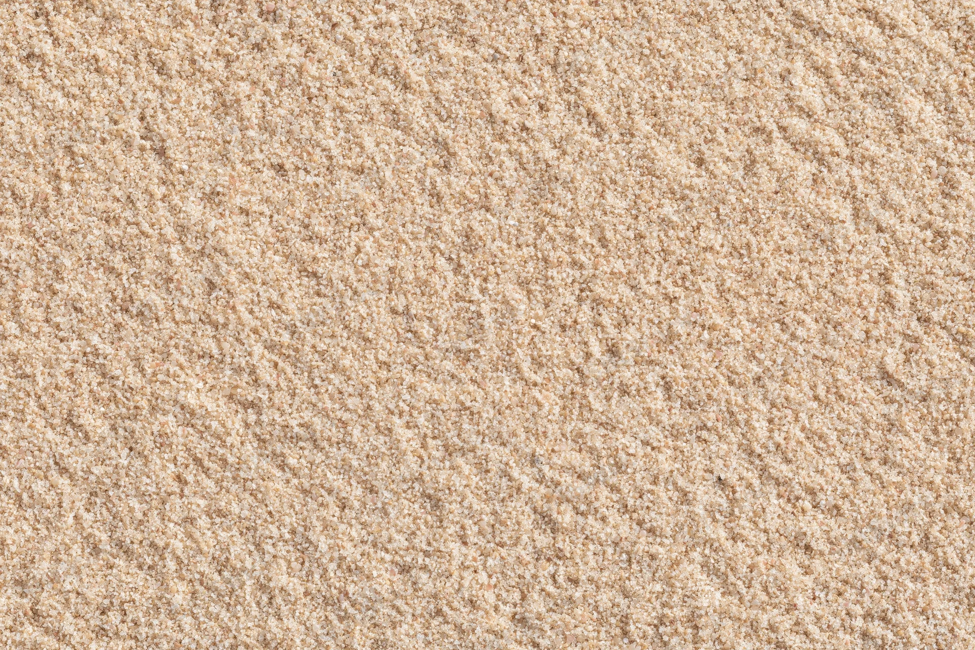Close-up of dry beach sand filling the frame