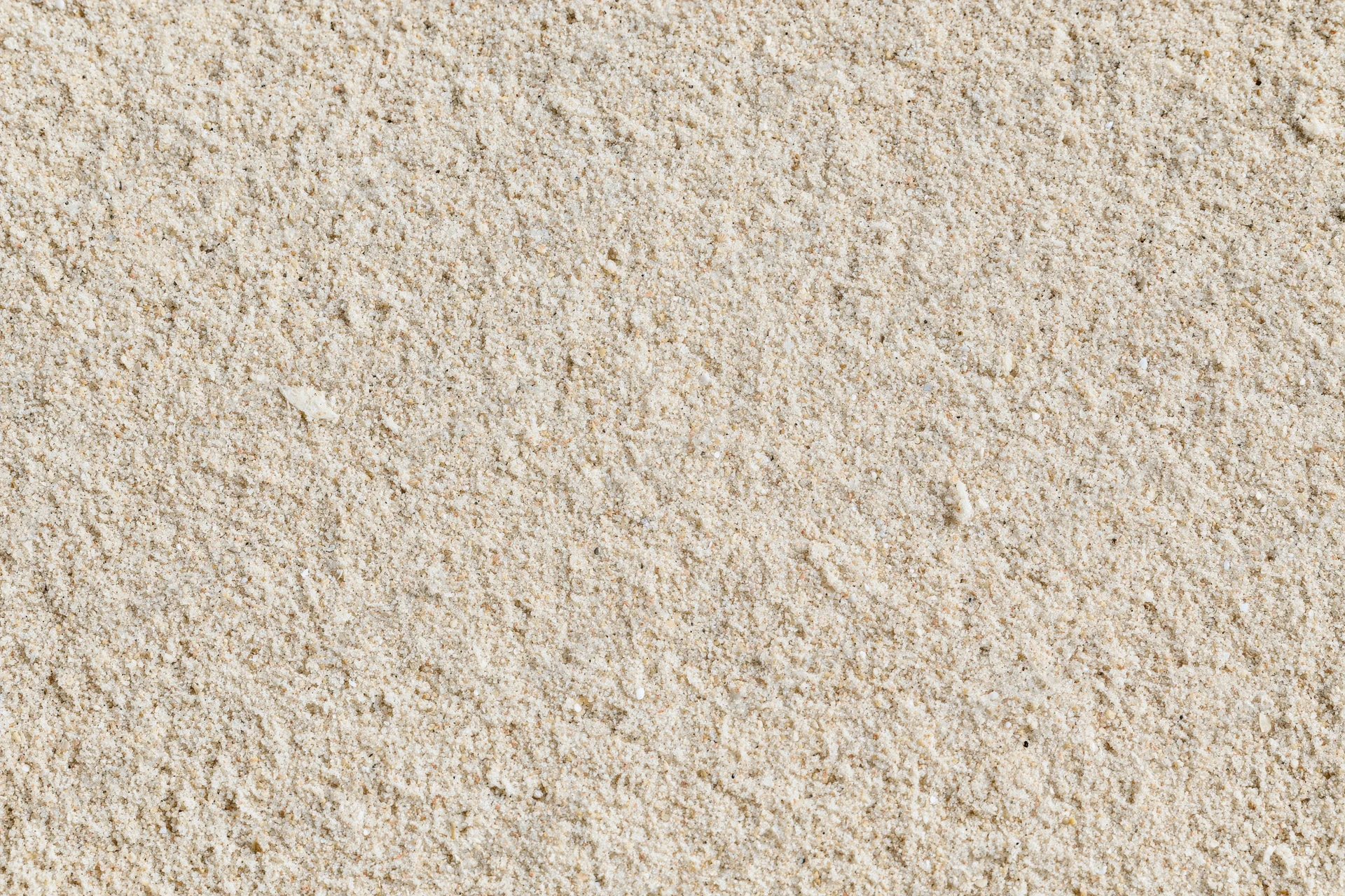 Close-up of dry beach sand filling the frame