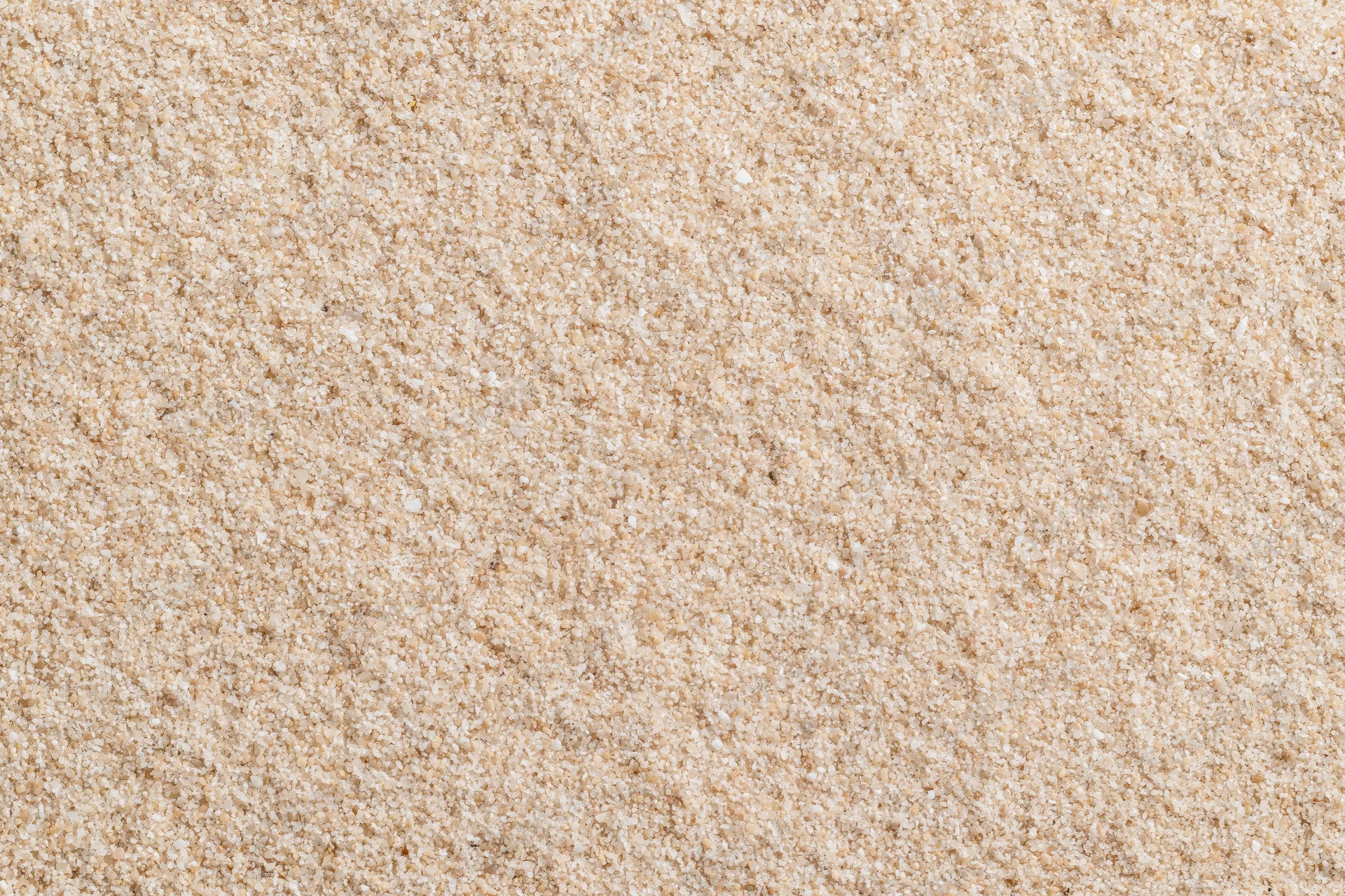 Close-up of dry beach sand filling the frame