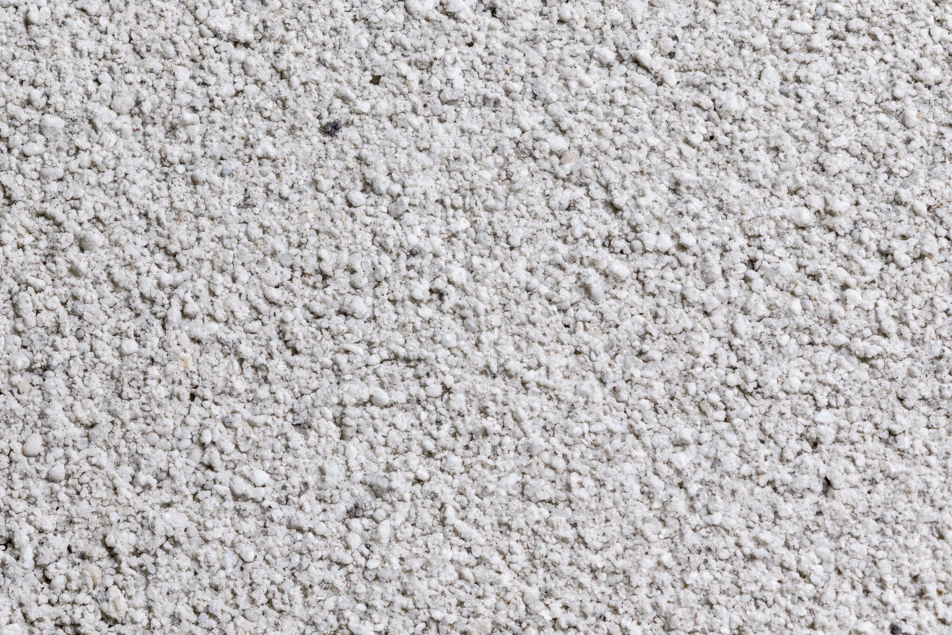 Close-up of fine white granular texture covering the entire frame