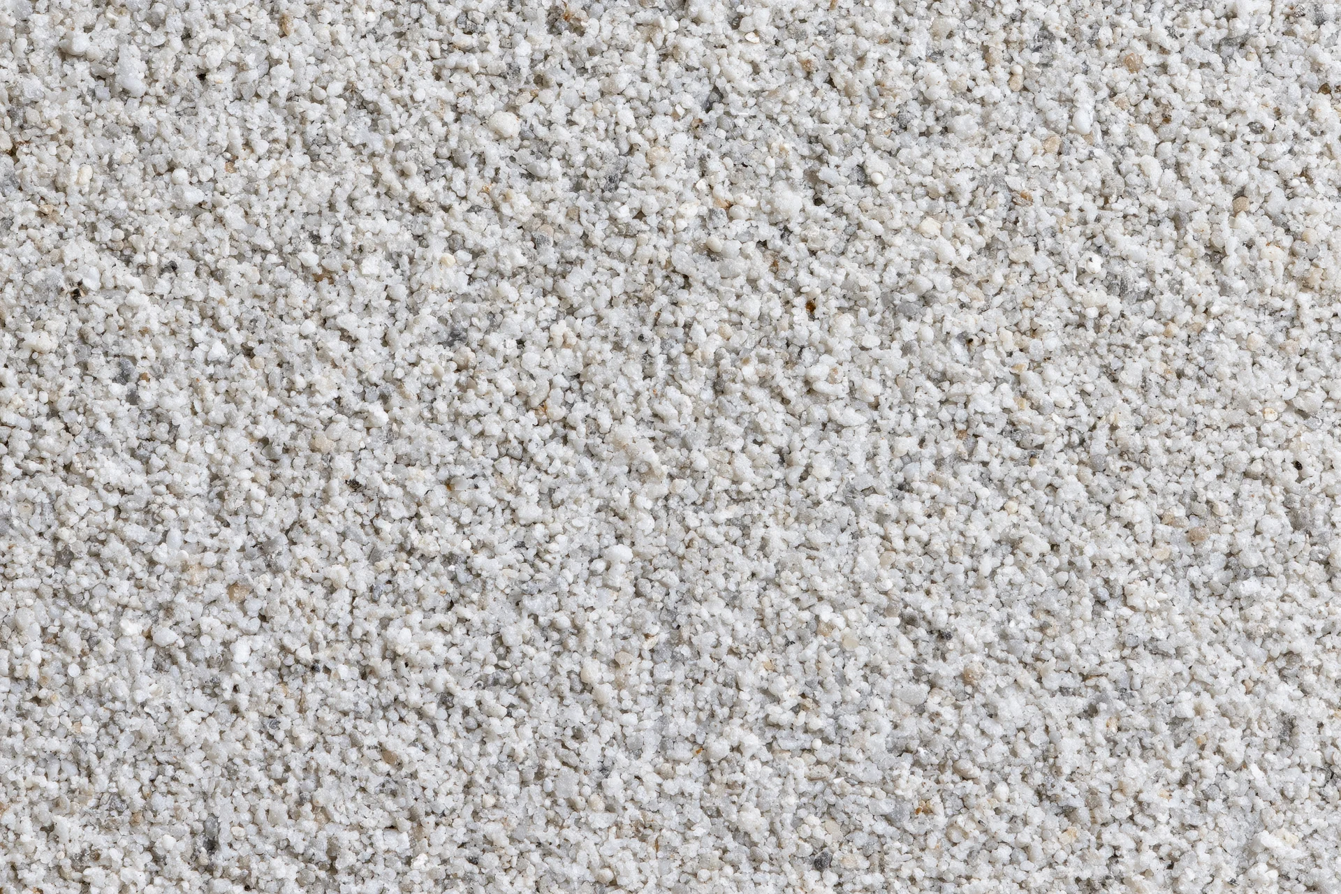 Close-up of fine granular surface texture with white and gray particles densely packed