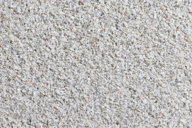Close-up of fine granular surface texture with white and gray particles densely packed